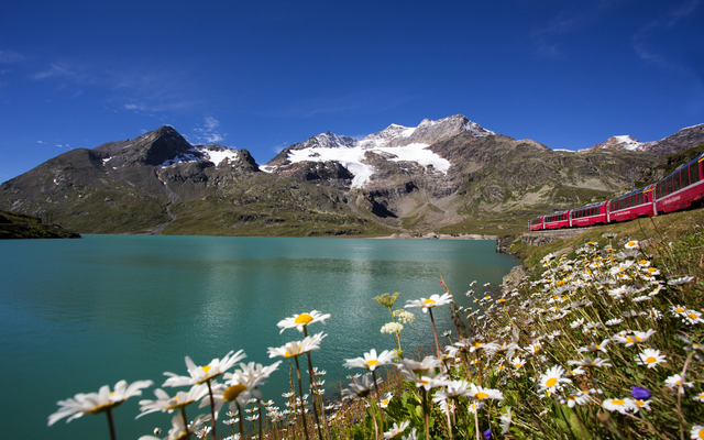 Bernina Express fährt am türkisfarbenen Lago Bianco vorbei, umgeben von Bergen und Blumen.