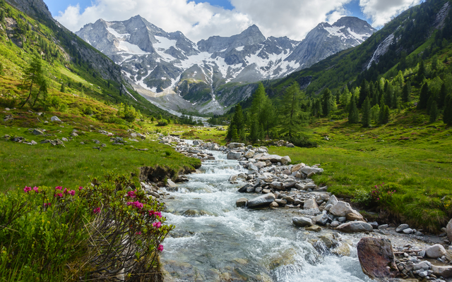 Berglandschaft mit Flusslauf, grüner Wiese und schneebedeckten Gipfeln im Hintergrund.