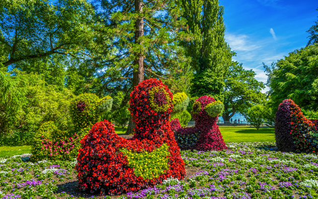 Pflanzen in Form von Enten in einem Park mit Blumen.