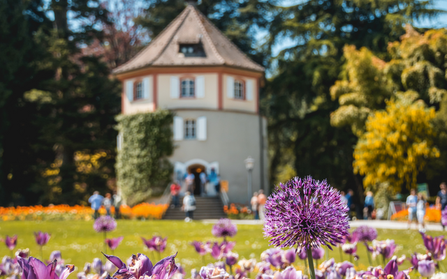 Turm in einem blühenden Garten mit violetten Blumen im Vordergrund.