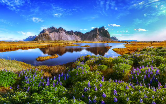 Berglandschaft mit See und blühendem Grün im Vordergrund unter blauem Himmel.