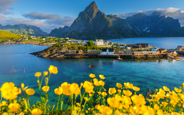 Blick auf ein norwegisches Dorf vor Bergkulisse an der Küste, gelbe Blumen im Vordergrund.