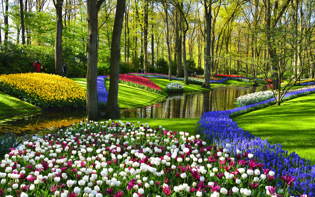 Blumenbeet im Park mit bunten Tulpen und Bäumen im Hintergrund.