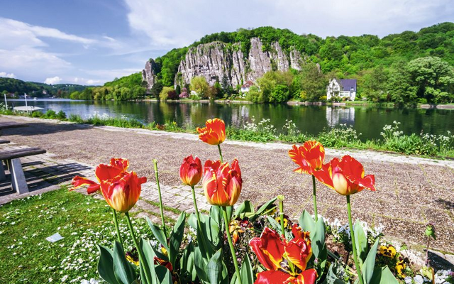 Rote Tulpen vor Flusslandschaft mit Felshügeln im Hintergrund.