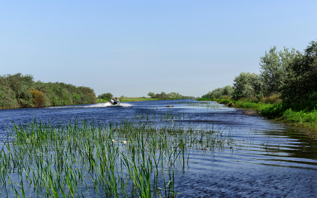 Flusslandschaft mit Schilf und Boot am klaren Himmel
