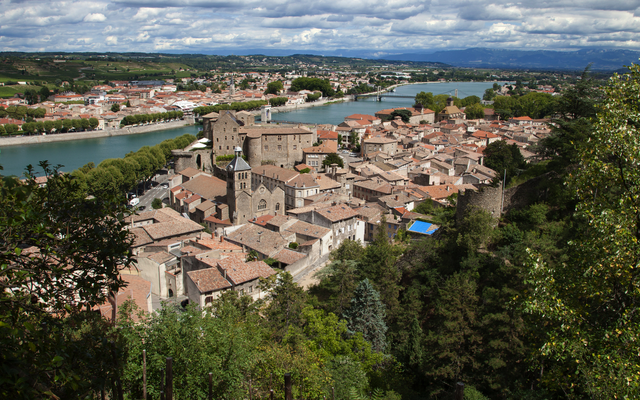 Blick auf eine historische Stadt mit Fluss und umliegenden Bäumen an einem bewölkten Tag.