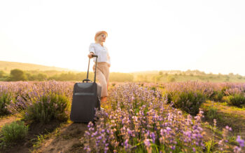 © Angelov - stock.adobe.com urlauben in der Provence WEB