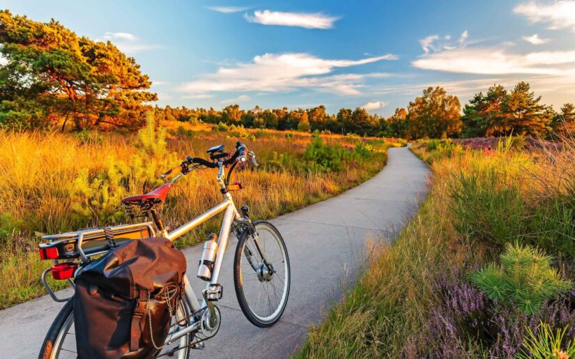 © DutchScenery - stock.adobe.com Elektrisches Fahrrad im niederländischen Nationalpark Die Veluwe WEB