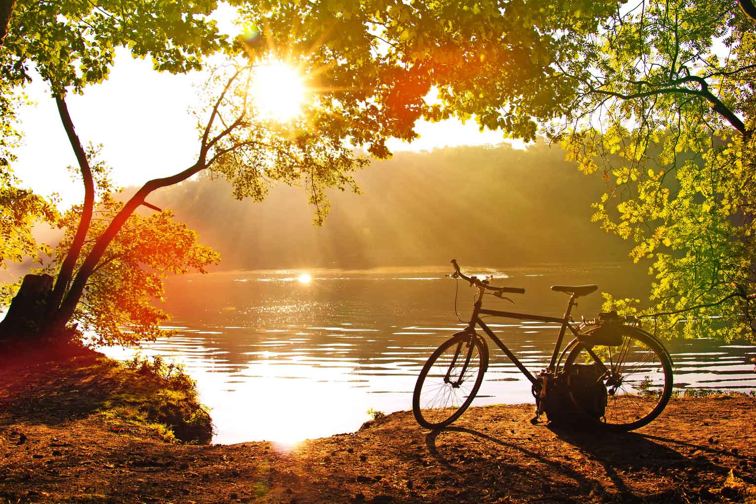 © Evelyne - stock.adobe.com Herbstbrise WEB