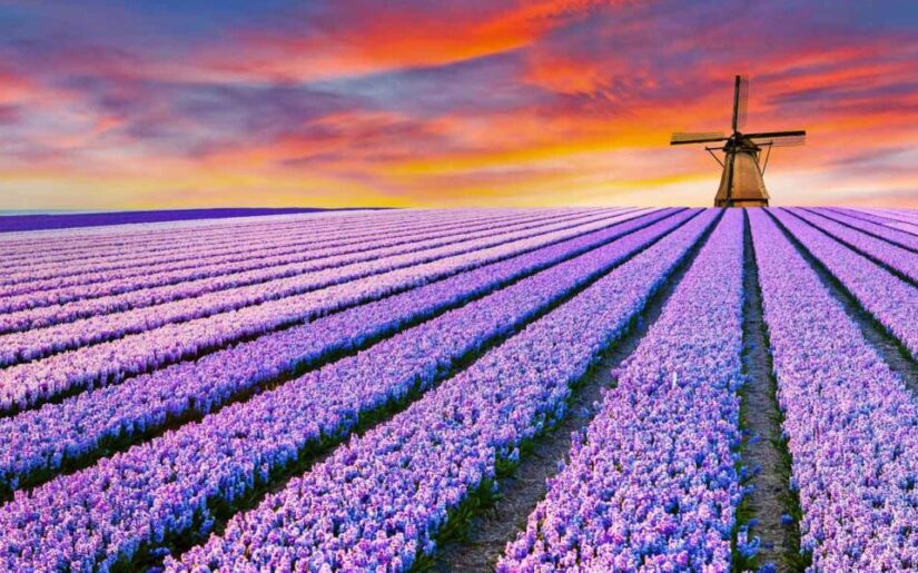 Niederlande