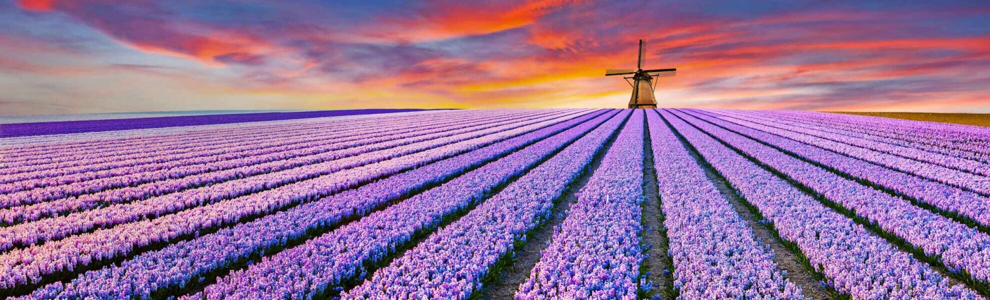 NIEDERLANDE